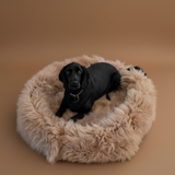 Irish Sheep Wool Pet Bed -Cappuccino