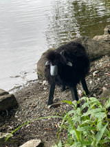 Small Woollen Sheep Figurine - Black The Irish Woollen Workshop