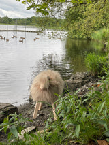 The Irish Woollen Workshop - Medium Woollen Sheep Figurine Cappuccino