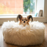 Irish Sheep Wool Pet Bed - White The Irish Woollen Workshop