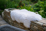 Large White Sheepskin Rug 120+cm