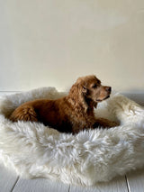 Irish Sheep Wool Pet Bed - White The Irish Woollen Workshop