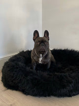 The Irish Woollen Workshop - Black Pet Bed