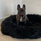 The Irish Woollen Workshop - Black Pet Bed