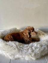 Irish Sheep Wool Pet Bed - White The Irish Woollen Workshop