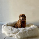 Irish Sheep Wool Pet Bed - White The Irish Woollen Workshop