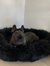 Irish Sheep Wool Pet Bed - Black The Irish Woollen Workshop