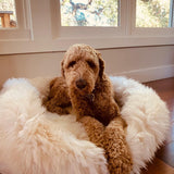 Irish Sheep Wool Pet Bed - White The Irish Woollen Workshop