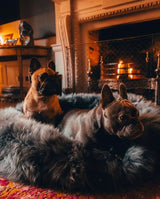 Irish Sheep Wool Pet Bed - Grey The Irish Woollen Workshop