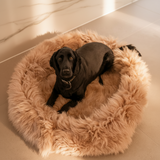 Irish Sheep Wool Pet Bed -Cappuccino