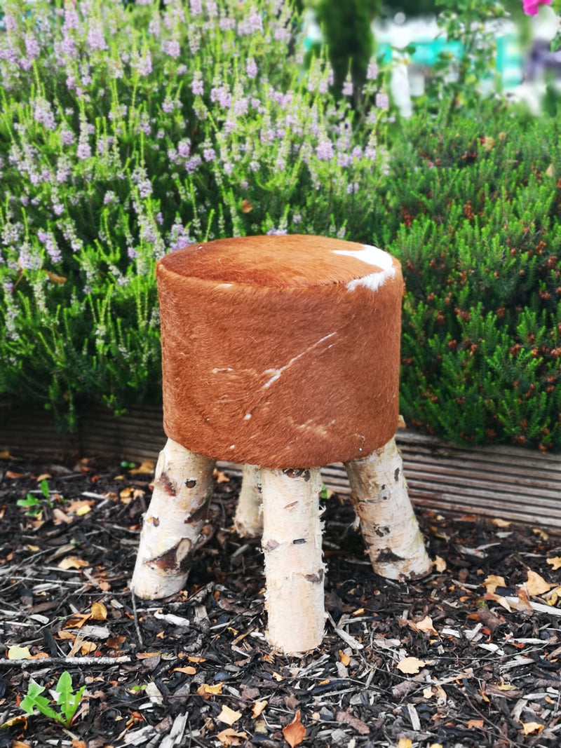 Cowhide Nature Stools