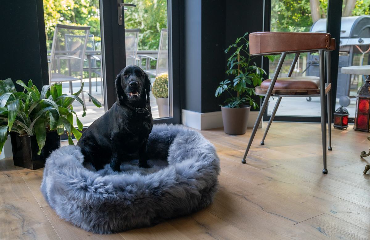 The Irish Woollen Workshop - Dog Beds 