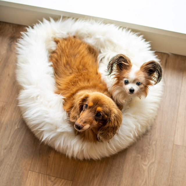 The Irish Woollen Workshop - Pet Beds 