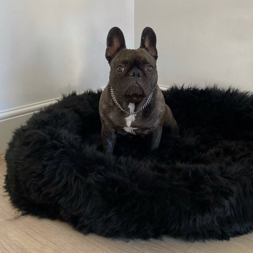 The Irish Woollen Workshop - Black Pet Bed